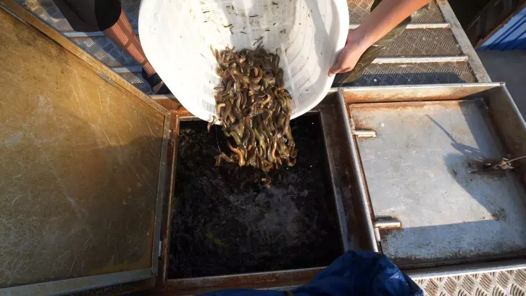陕西农林卫视致富故事会_陕西农林卫视致富经_央视农业节目致富经