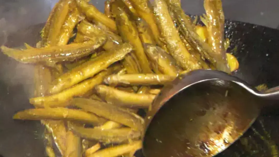 陕西农林卫视致富故事会_陕西农林卫视致富经_央视农业节目致富经