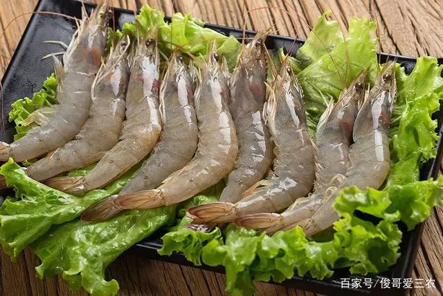 cctv7致富经沼虾养殖_沼虾养殖投资大概多少_沼泽虾养殖