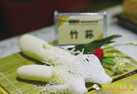 尤溪县富农食用菌合作社_尤溪蔬菜基地_尤溪种植致富项目