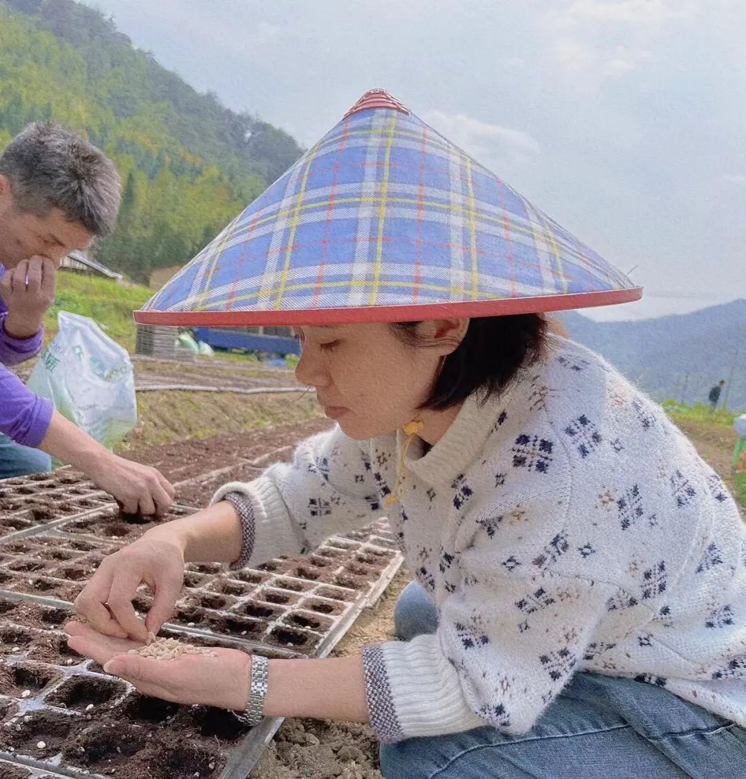 尤溪种植致富项目_尤溪蔬菜基地_尤溪农产品