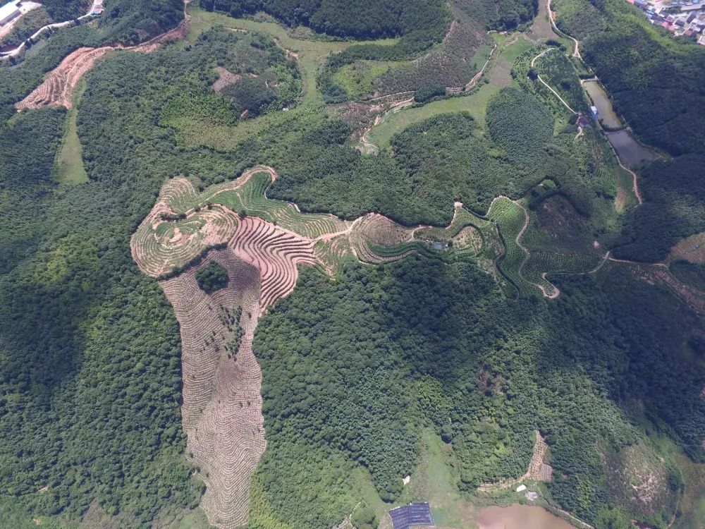 尤溪农产品_尤溪蔬菜基地_尤溪种植致富项目
