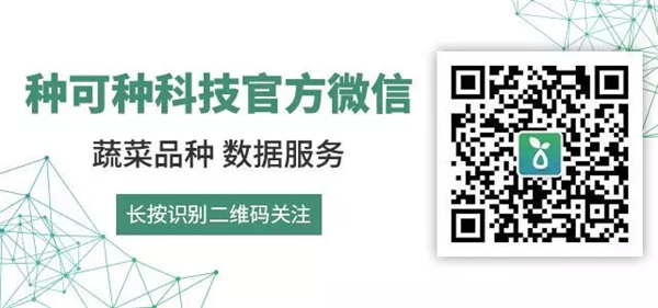 城固种植兰花致富_致富经兰花种植视频_养兰花致富