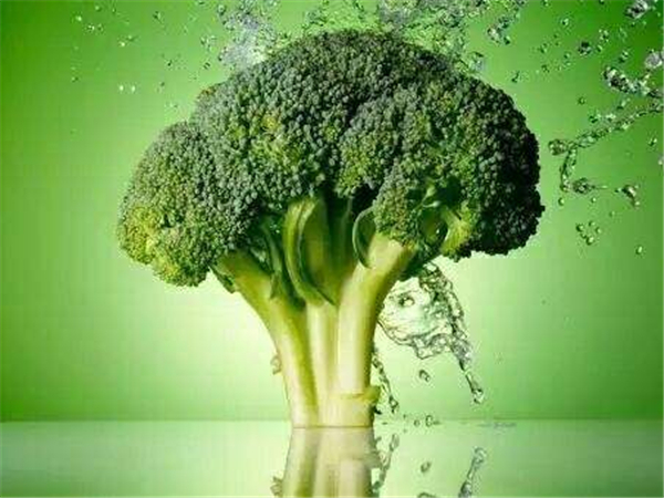 致富经兰花种植视频_养兰花致富_城固种植兰花致富