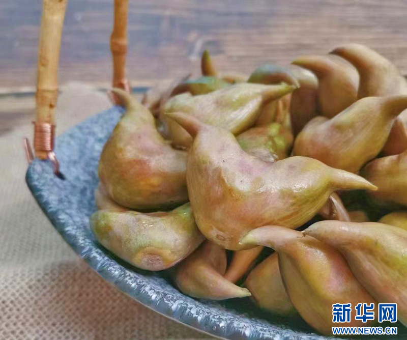 荸荠和菱角是什么植物_荸荠菱角种植致富_致富种植荸荠菱角怎么样
