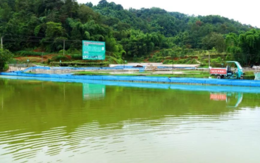 致富养殖水坑项目招标_农村致富养殖_水坑养殖致富项目