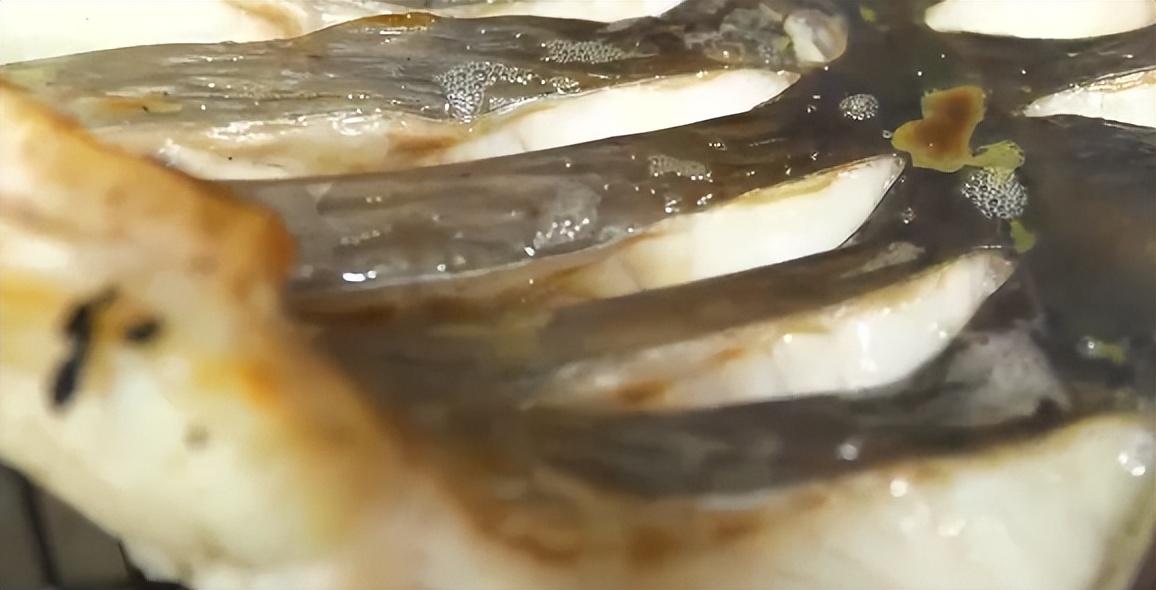 致富养殖水坑项目简介_水坑养殖致富项目_致富养殖水坑项目介绍