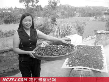 致富经狗灌养殖前景_致富项目养狗_致富经养殖狗