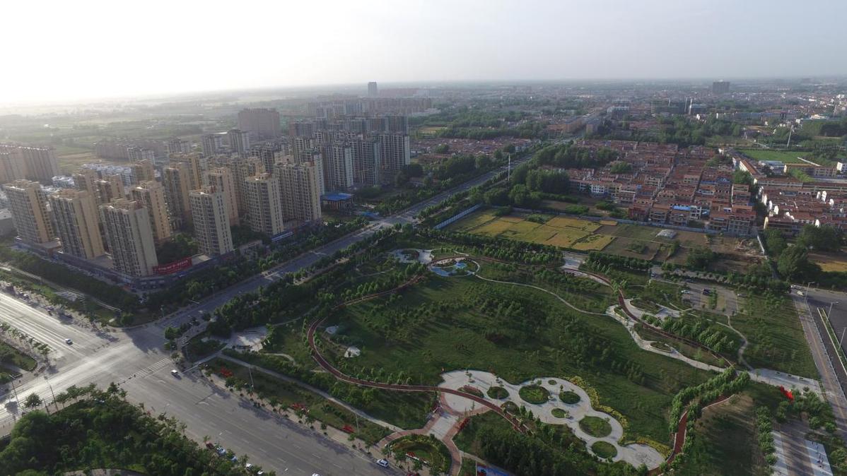 兰花致富经_城固种植兰花致富_养兰致富