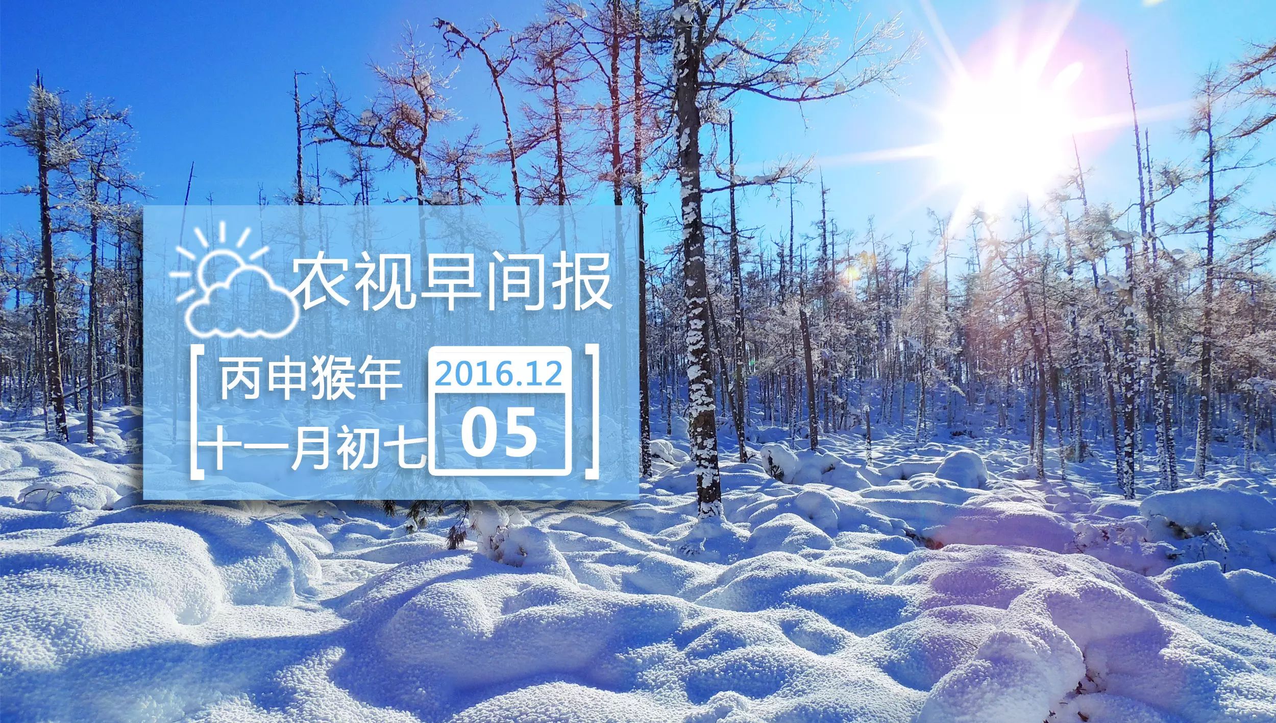 12·5 早安！农视资讯来了