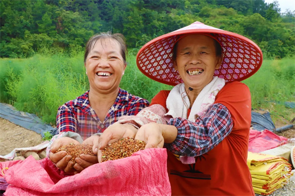 苹果4s变费为宝_变废为宝致富经_变废为宝致富项目介绍