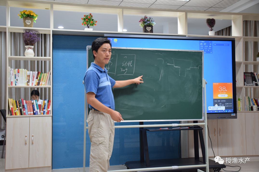 致富经青蛙_致富经青蛙_致富经青蛙