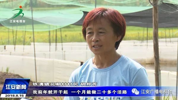 致富经青蛙_致富经青蛙_致富经青蛙