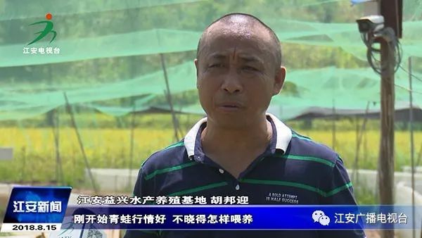 致富经青蛙_致富经青蛙_致富经青蛙