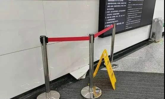 家禽鹅会飞吗_致富经鹅养殖技术视频_致富经会飞的鹅