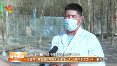 林下养殖致富吗_致富经林下养鸡_林下养殖项目实施方案