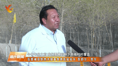 林下养殖项目实施方案_林下养殖致富吗_致富经林下养鸡