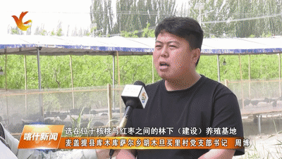 林下养殖致富吗_致富经林下养鸡_林下养殖项目实施方案