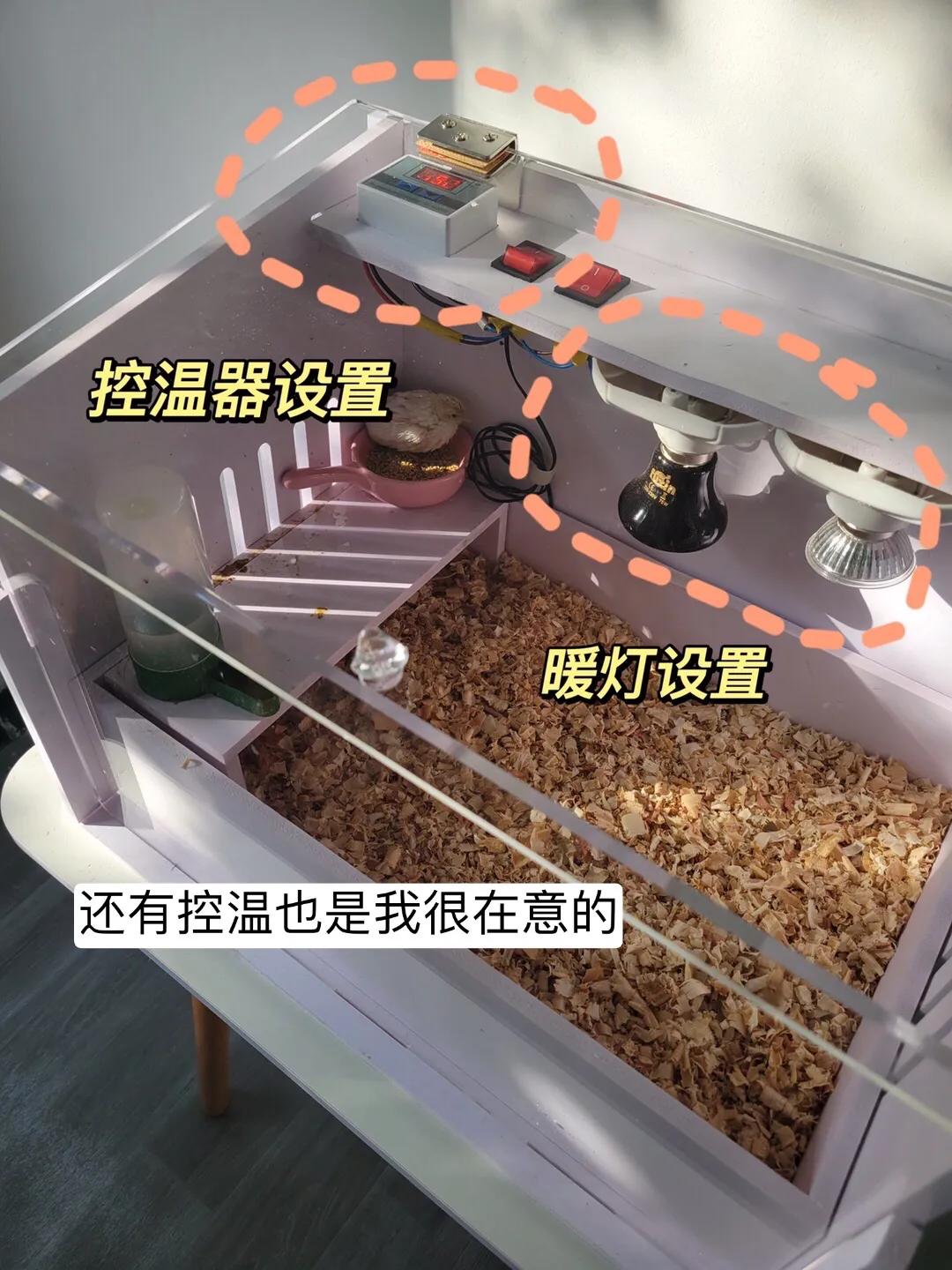 芦丁鸡养殖技术视频书_芦丁鸡养殖视频_芦丁鸡养殖技术探讨