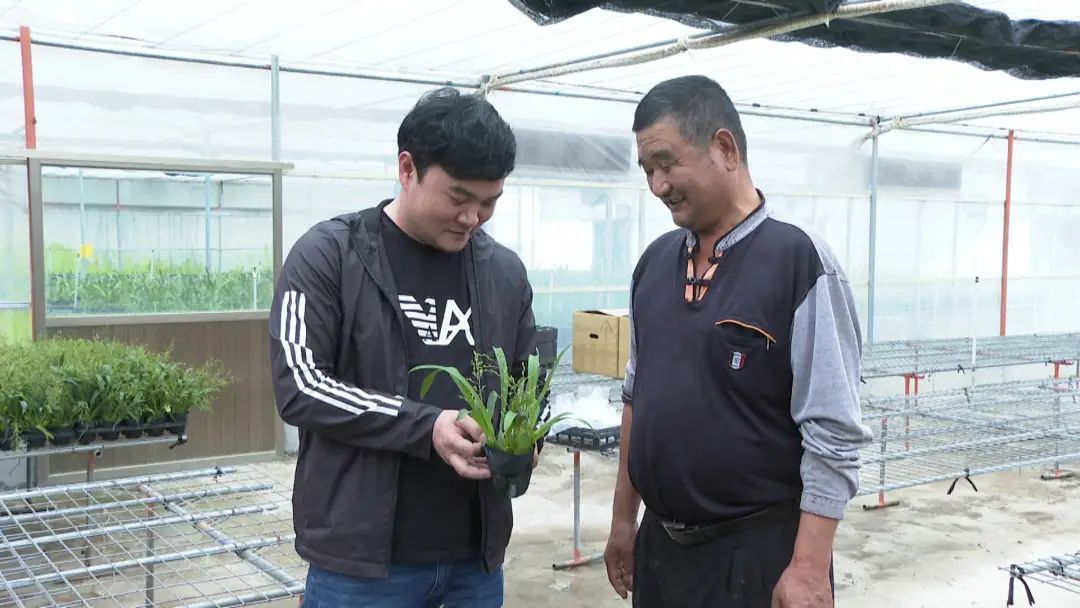 陈波致富经_致富经陈斌_致富经陈耀祥