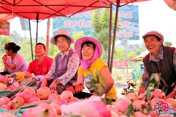 如何种植黄金果_致富种植果黄金多少一斤_种植黄金果致富