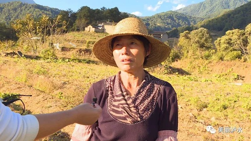 东北地区药材种植_致富药材东北种植基地在哪_东北药材种植致富经