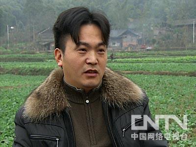 致富经泥鳅养殖_养殖泥鳅挣钱吗_致富养殖泥鳅图片