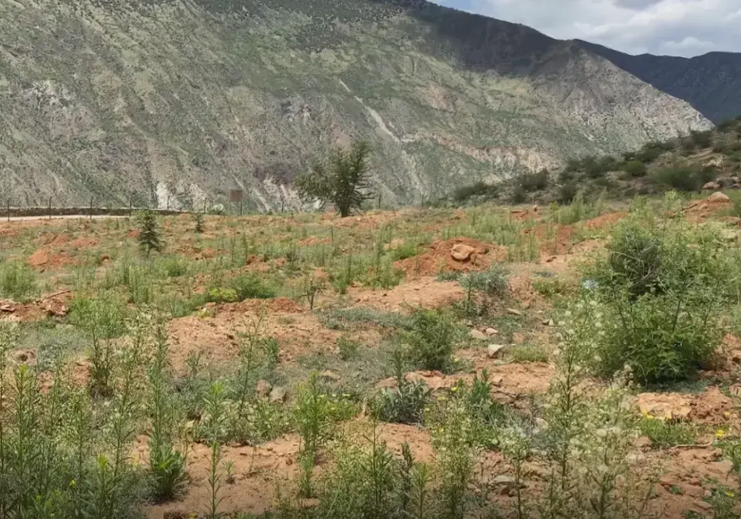 养殖种植渐致富_致富养殖业_种养致富项目