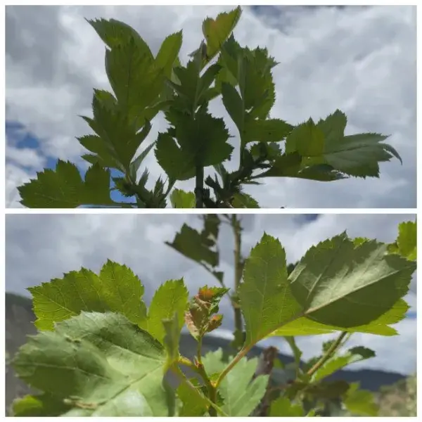养殖种植渐致富_种养致富项目_致富养殖业