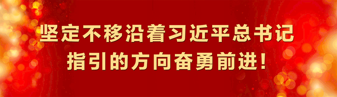 中药材致富_中药种植致富新路线_致富中药种植路线新闻报道