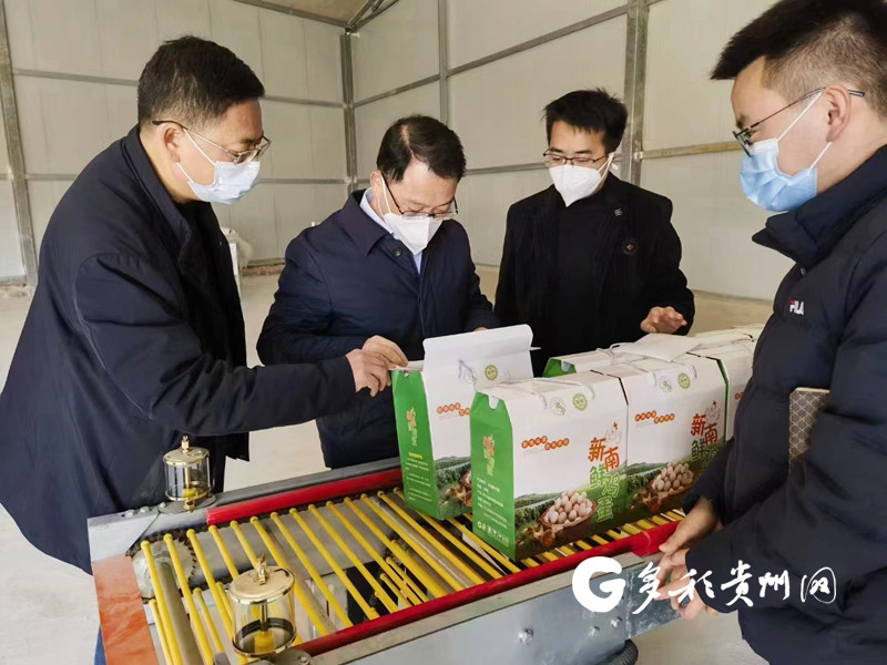 【新春走基层】新南镇自动化养鸡场开启乡村振兴新篇章