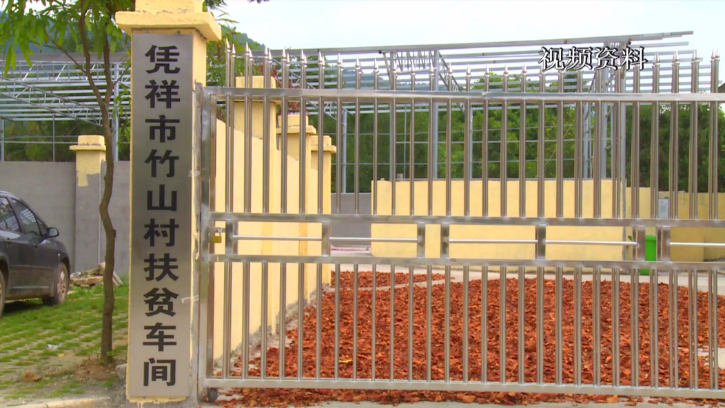 中药种植致富新路线_中药材致富_致富经种植中药材视频
