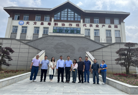 中国农业科学院考察队到大方县考察白参菌产业