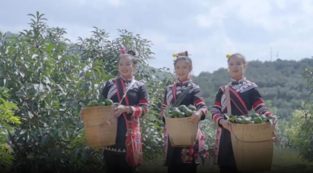在甘肃种植什么最赚钱_甘肃种植水果的优势_甘肃致富果种植
