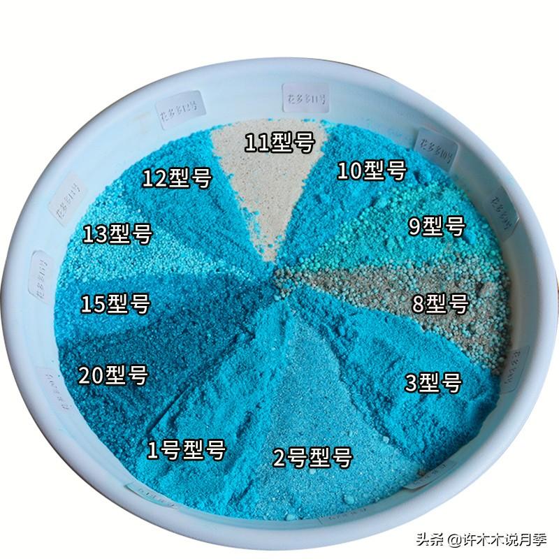 养月季花的步骤分别是什么_月季花的养殖技术_如何养殖月季花