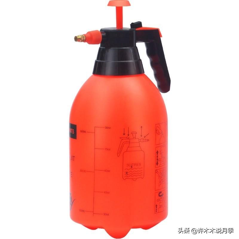 月季花的养殖技术_如何养殖月季花_养月季花的步骤分别是什么