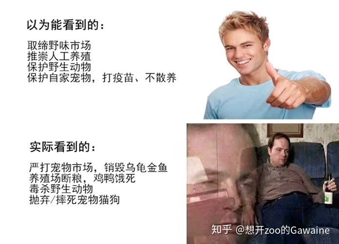 致富经水貂养殖视频_视频致富养殖水貂是真的吗_养殖水貂的成本和利润