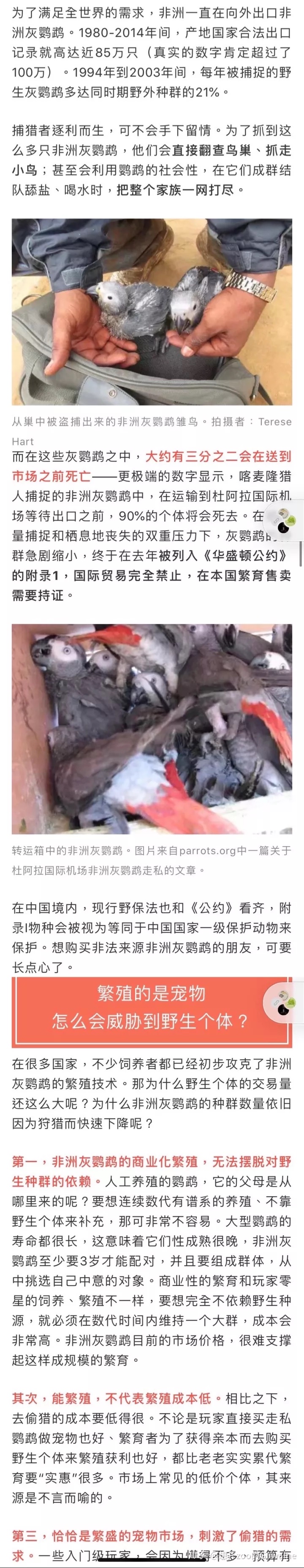 视频致富养殖水貂是真的吗_养殖水貂的成本和利润_致富经水貂养殖视频