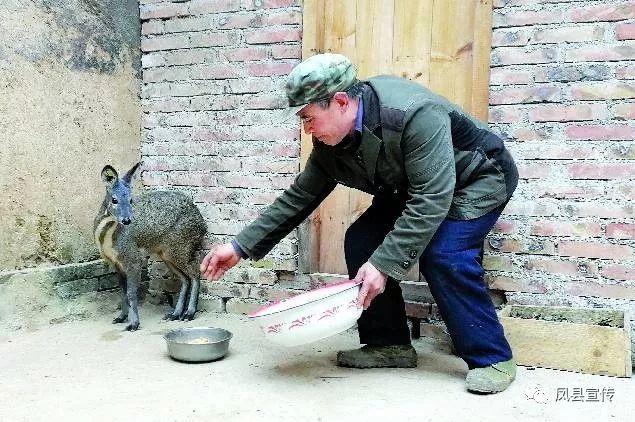 凤县 刘家庄 村 致富经_栖霞臧家庄有几个村_栖霞市臧家庄镇南翁村