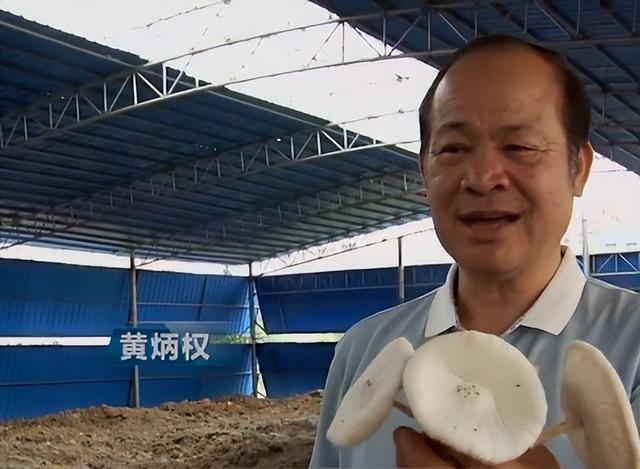 2021年致富经养牛视频_致富经养牛常什么_致富养牛牛人