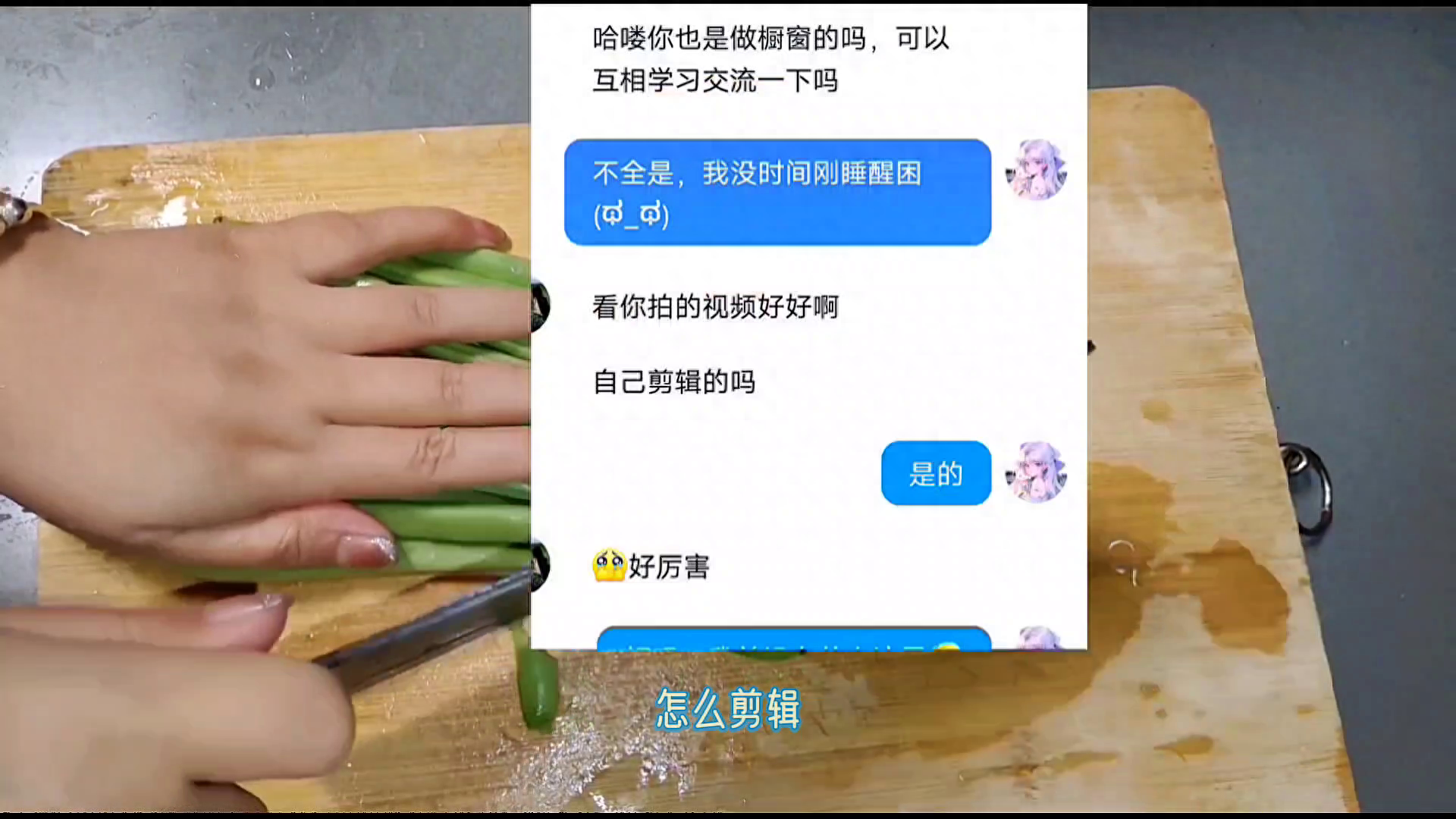 15天优质经验分享视频_视频的经验_优质的视频内容