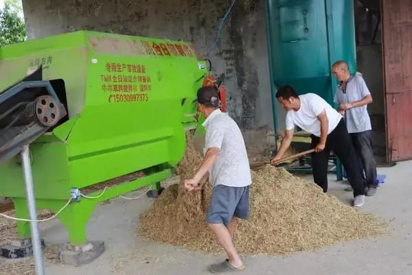 致富经养牛挣8000万_致富经养牛常什么_养牛致富经