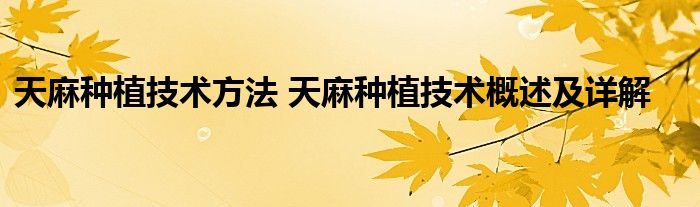 天麻种植技术方法 天麻种植技术概述及详解