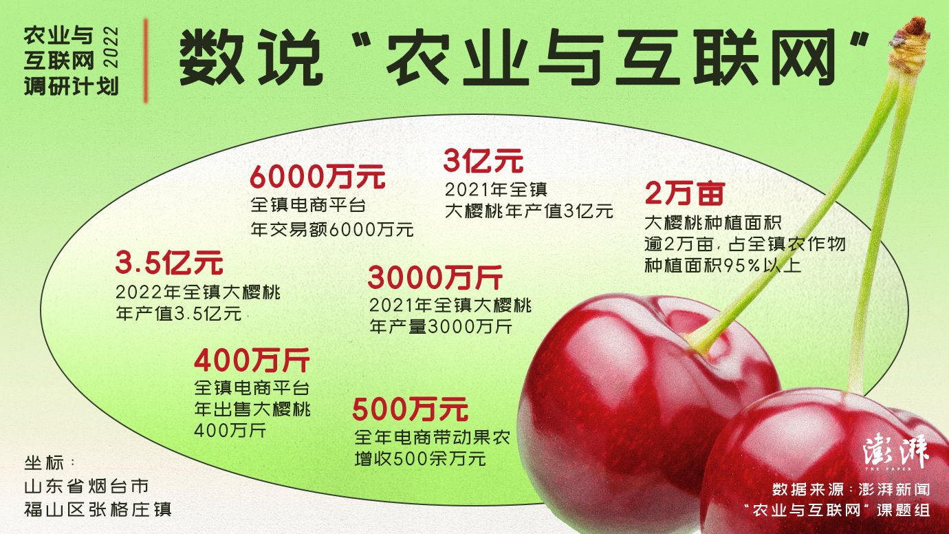 农业与互联网｜张格庄镇大樱桃产业发展之路