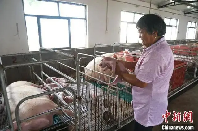 养殖致富上市公司名单_致富养殖好项目大全_养殖致富带头简介