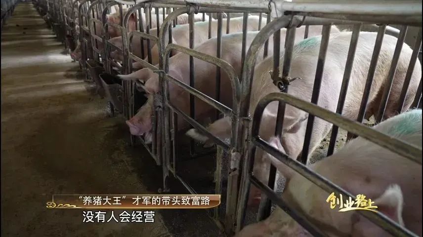 养殖致富带动人_养殖致富带头简介_养殖致富经