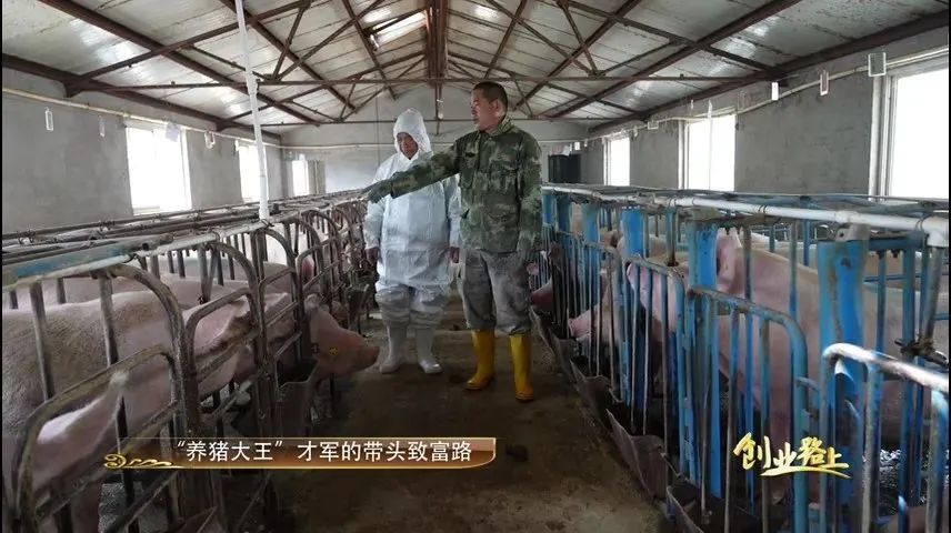 养殖致富带头简介_养殖致富带动人_养殖致富经