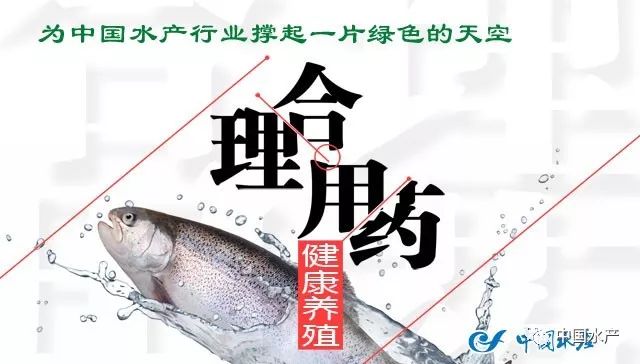 养殖麦穗鱼效益怎么样_致富经麦穗鱼养殖_致富经麦穗鱼养殖视频