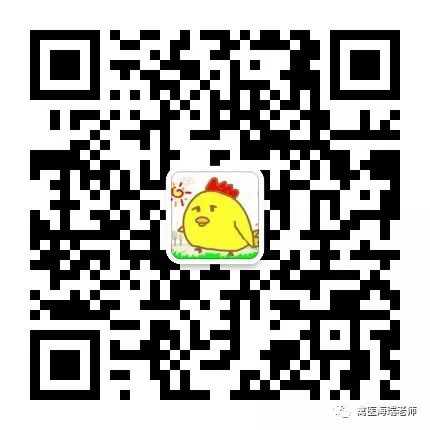 养殖土鸡技术_养殖土鸡技术和鸡舍建设_土鸡养殖技术ppt