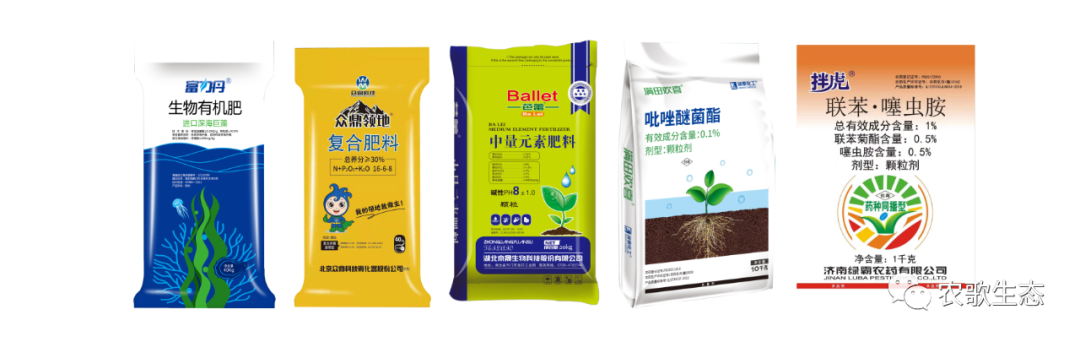 南方生姜种植技术_生姜南方种植技术视频_南方生姜种植技术视频教程